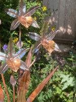 k. 3 Headed Orchid.jpg